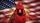 Northern Cardinal American Flag Road Trip Essential - Wildlife Lover Car Sunshade - 7