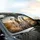Dalmatian Dogs Epic Open Road Adventure - Golden Hour Travel Essentials Car Sunshade - 6