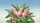 Galah Cockatoos Tropical Banana Leaves Hibiscus - Car Interior Upgrade Car Sunshade - 7