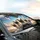 Blue Eyed Siamese Cats Steering Wheel Adventure - Road Trip Commute Accessory Car Sunshade - 6