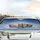 Curious Cats Sky Cloud Road Trip Gift - Cat Lover Car Interior Upgrade Car Sunshade - 5