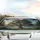 Majestic Ancient Oak Tree Lush Verdant Forest - Car Interior Road Trip Travel Accessory Car Sunshade - 5