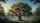 Majestic Ancient Oak Tree Lush Verdant Forest - Car Interior Road Trip Travel Accessory Car Sunshade - 7