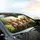 Six Chihuahua Dogs Natural Landscape - Car Interior Upgrade Chihuahua Lover Gift Car Sunshade - 6