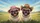 Pugs Pink Sunglasses Cowboy Hats Scenic Landscape - Road Trip Gift for Dog Owners Car Sunshade - 7