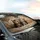 Three Tabby Kittens Vintage Upholstery Fabric - Cozy Car Interior Upgrade Cat Lover Gift Car Sunshade - 6