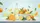 Sparkling Water Lemon Orange Bowl Green Leaves Car Interior Upgrade Car Sunshade - 7