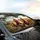 Comical Chickens Open Road Journey Rolling Green Hills & Blue Sky Travel Essentials Car Sunshade - 6