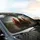 Three Realistic Chickens Rural Farm - Road Trip Gift for Chicken Lovers Car Sunshade - 6