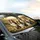 Five Shetland Sheepdogs Smiling - Road Trip Gift for Shetland Sheepdog Lover Car Sunshade - 6