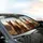 Five Curious Alpacas Sun-Drenched Plains Landscape - Travel Essentials Car Interior Upgrade Car Sunshade - 6
