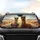 Alpacas Sunglasses Desert Road Trip - Travel Essentials Car Interior Upgrade Car Sunshade - 4