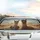 Alpacas Sunglasses Desert Road Trip - Travel Essentials Car Interior Upgrade Car Sunshade - 5