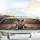 Boston Terrier Dog Baseball Autumn Urban Scene - Car Interior Upgrade Dog Lover Gift Car Sunshade - 5