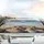 Ecstatic Cats Sunglasses Vintage Car - Road Trip Gift for Cat Lover Car Sunshade - 5
