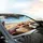 Ecstatic Cats Sunglasses Vintage Car - Road Trip Gift for Cat Lover Car Sunshade - 6