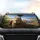 Capybaras Tropical Riverbank Rocky Ground Habitat - Commute Accessory for Wildlife Enthusiast Car Sunshade - 4
