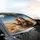 Anthropomorphic Lions Sunglasses Revolver Desert Drive - Travel Essentials Car Sunshade - 6
