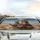 Anthropomorphic Lions Sunglasses Revolver Desert Drive - Travel Essentials Car Sunshade - 5