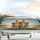 Jubilant Golden Retrievers with Sunglasses - Road Trip Gift for Dog Lover Car Sunshade - 5