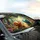 Smiling Swirling Snails Fantastical Forest Wildflowers Car Interior Upgrade Car Sunshade - 6