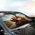 Chickens with Glasses Driving Journey - Fun Travel Essentials for Chicken Lovers Car Sunshade - 6