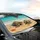 Sea Turtles Starfish Seashells Tropical Beach Ocean Water - Ocean Lover Gift Car Sunshade - 6