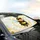 Chunky Smiling Cartoon Bee Sunglasses - Everyday Wildlife Gift for Bee Lovers Car Sunshade - 6