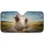 Chickens Sunglasses Open Road Adventure - Car Decor for Animal Lovers Car Sunshade - 3