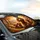 Four Fluffy Poodle Dogs Autumn Forest Sunset Scenic - Adventure Pet Lover Gift Car Sunshade - 6