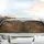 Leopard Print Golden Shimmer Dappled Jungle Foliage - Luxury Safari Lifestyle Gift Car Sunshade - 5