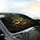 Spotted Toadstool Chanterelle Bolete Mushroom Forest Floor Scene - Nature Lover Gift Car Sunshade - 6
