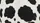 Black Patches Holstein Cow Print Realistic Fur - Farmhouse Car Decor Cow Lover Gift Car Sunshade - 7