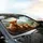 Highland Cow Family Scottish Highlands - Travel Essentials Gift for Cow Lover Car Sunshade - 6