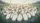 Interlocking White Geese Marsh Reeds Pond Water - Wildlife Admirer Present Car Sunshade - 7