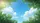 Sunlit Green Tree Canopy Blue Sky White Clouds - Outdoor Enthusiast Gift Car Sunshade - 7