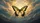 Majestic Butterfly Golden Amber Teal Clouds Sunrise Sunset Sky - Wildlife Lover Gift Car Sunshade - 7