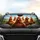 Five Humorous Chickens with Glasses Road Trip Adventure - Car Accessory Gift Car Sunshade - 4