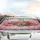 Sleeping Baby Jaguar Cub Pink Roses Drapes - Wildlife Lover Vehicle Decor Gift Car Sunshade - 5