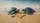 Golden Sand Blue Sea Turtles Starfish Heart Seashells - Ocean Wildlife Lover Gift Car Sunshade - 7