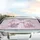 Baby Dinosaurs Stegosaurus Pterodactyl Brontosaurus Palm Trees - Prehistoric Fan Gift Car Sunshade - 5