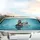 Realistic Mallard Duck Swimming Water Splashes - Wildlife Lover Gift Car Sunshade - 5