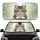 Fluffy Tabby Kitten Blue-Green Eyes Pink Tongue Long Whiskers - Pet Owner Gift Car Sunshade - 1