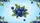 Juicy Blueberries Green Leaves Delicate Flowers - Botanical Garden Gift Car Sunshade - 7
