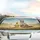 Baby Duck Ragdoll Cat Blue Eyes Teddy Bear Rolling Hills Sky - Wildlife Lover Gift Car Sunshade - 5