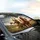 Expressive Horses Golden Hour Countryside Scene - Horse Lover Gift Car Sunshade - 6