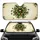 Gift Bows Ribbons Gold Green Polka Dots Elegant Festive - Christmas Car Decor Gift for Family Car Sunshade - 1
