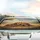 Snuggled Golden Retriever Puppies Meadow - Dog Lover Travel Gift Car Sunshade - 5