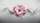 Delicate Pink Flowers Swirling Dark Tendrils Misty Gray - Car Decor Gift Car Sunshade - 7