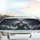 Good Time Happy Cartoon Animal Celebration - Everyday Cheer Animal Lover Gift Car Sunshade - 5